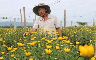 Giàu lên, đẹp hơn nhờ hoa