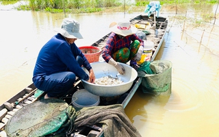 Miền Tây ngóng "lũ đẹp"