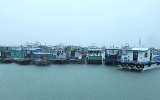 Bão số 2: Toàn bộ khách du lịch tham quan vịnh Hạ Long đều đã về bờ