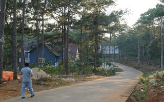 Thu hồi thông báo giới thiệu 39 lô đất làm biệt thự ở Măng Đen