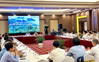 Lãnh đạo Quảng Nam đề xuất Chính phủ lập tổ chuyên trách về tín chỉ carbon