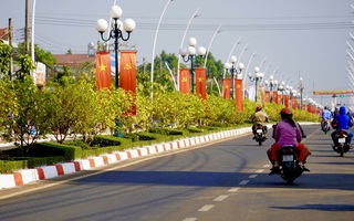 Đường hoa mai dài 6,4km được cấp bằng kỷ lục Việt Nam
