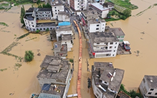 Trung Quốc lo ngại giảm sản lượng lúa