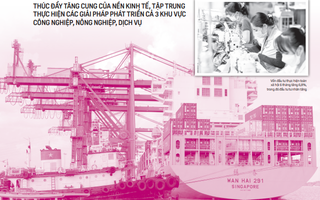 Thông tin đáng chú ý trên báo in Người Lao Động ngày 7-7