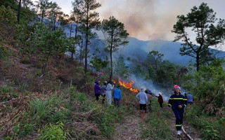 Quảng Bình lại cháy rừng