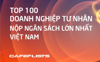 Tập đoàn Bamboo Capital (BCG) vào top 100 doanh nghiệp tư nhân nộp ngân sách lớn nhất Việt Nam