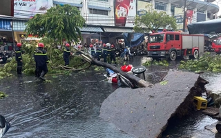 Đà Nẵng: Cây lớn bật gốc trong mưa dông, 1 phụ nữ bị thương