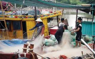 Hỗ trợ ngư dân tỉnh Thái Bình vươn khơi bám biển