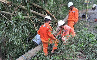 Ngành điện miền Nam: Cảnh báo nguy cơ mất an toàn điện mùa mưa bão