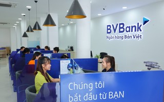 Ai là cổ đông lớn nhất tại BVBank, VIB?