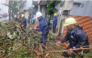 Dầm mình trong mưa hỗ trợ Hải Phòng dọn dẹp cây xanh gãy đổ la liệt sau bão số 3