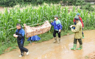 Vụ lũ quét kinh hoàng thôn Làng Nủ: Chuyển một bệnh nhân đa chấn thương về Hà Nội