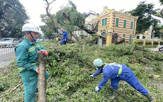 Hà Nội cơ bản giải tỏa cây xanh đổ gãy, hơn 3 ngàn cây có thể dựng lại