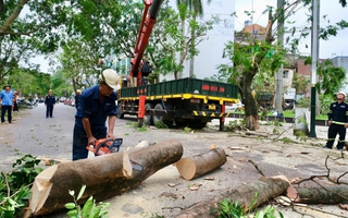 Động viên công nhân tham gia khắc phục hậu quả bão Yagi tại Hà Nội, Hải Phòng