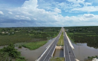 Bất ngờ nguyên nhân gây ngập hàng trăm hecta thanh long tại Bình Thuận