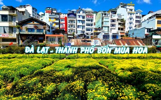 Festival hoa Đà Lạt năm nay sẽ có nhiều điểm mới