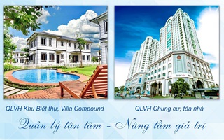 Blue Diamond và CBNV gửi tấm lòng “Thương về miền Bắc”