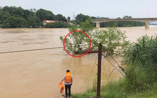 Người đàn ông bị lũ cuốn trôi 2 km trên sông Mã