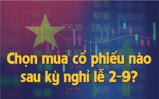 Chọn mua cổ phiếu nào sau kỳ nghỉ lễ 2-9?