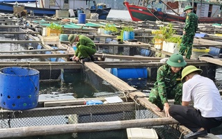 Quảng Ninh, Hải Phòng cấm biển từ 11 giờ hôm nay 6-9 để phòng chống siêu bão Yagi