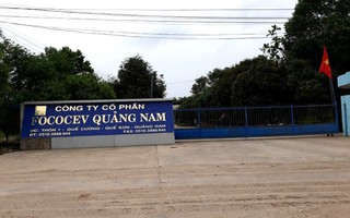 2 công nhân rơi xuống hầm chứa nước thải chết đuối ở Quảng Nam