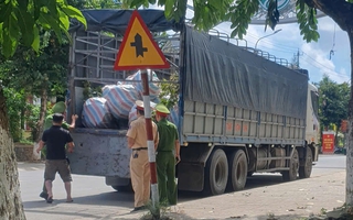 Bí mật sau những chuyến xe chở cây rừng: Vì sao công an chưa tiếp nhận hồ sơ vụ việc?