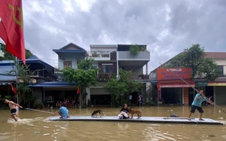 98 người chết và mất tích, 746 người bị thương do bão lũ; thiệt hại kinh tế vô cùng nặng nề