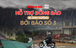 Báo Người Lao Động và MoMo kêu gọi ủng hộ đồng bào bị thiệt hại bởi bão số 3