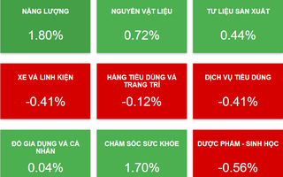 Chứng khoán ngày mai, 14-1: Nên giữ hay bán khi thị trường chao đảo?