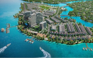 Dự án Cù lao Tân Vạn về tay TTC Land