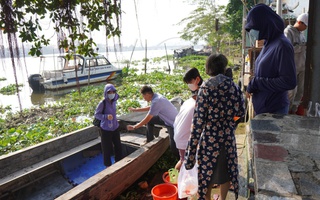 TP HCM: Tàu tuần tra chặn nạn kích điện khi thả cá chép tiễn ông Táo