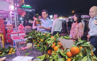 Trái cây, hàng tươi sống về chợ ngày càng nhiều