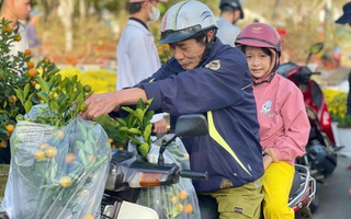 Người bán nhiều hơn khách mua, tiểu thương chợ hoa Đà Nẵng lo mất Tết