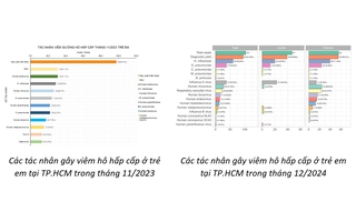 Virus gây bệnh hô hấp ở Trung Quốc từng được ghi nhận tại TP HCM