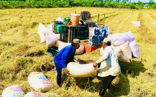 Bảo đảm thu nhập cho nông dân