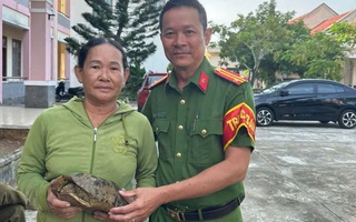 Đi hái rau, người phụ nữ bắt gặp con rùa quý nặng 2,2 kg ở Đà Nẵng