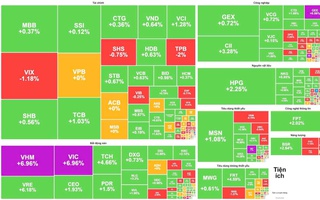 Cổ phiếu họ nhà Vingroup kéo VN-Index lên mức cao kỷ lục
