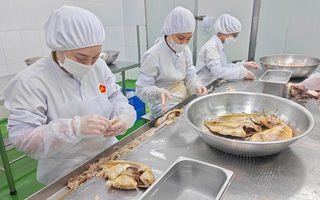Tháo điểm nghẽn chính sách để doanh nghiệp cất cánh