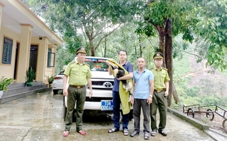 "Vị khách lạ" đáp xuống nhà dân, không ngờ là loài quý hiếm, nguy cấp