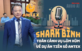 Audio: Không chỉ đứng sau "cú sập" AntEx, Shark Bình còn vướng cáo buộc nào khác?