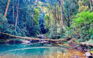 “Con đường Muối” – Cung đường trekking cầu nối giữa lịch sử và văn hoá bản địa