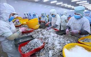 Tổng Giám đốc một công ty thủy sản lớn xin nghỉ việc vì "cảm thấy năng lực không còn đáp ứng được"
