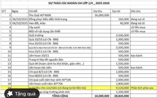 TP HCM: Trưởng ban đại diện phụ huynh lớp "tự nghĩ ra" thu - chi để vận động phụ huynh