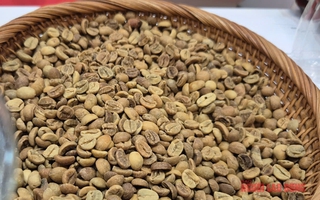 Giá cà phê hôm nay 18-10: Robusta hạ nhiệt