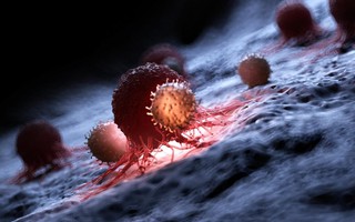 Đột phá: Dùng gene virus lồng trong vi khuẩn tiêu diệt ung thư