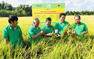 Cấp thiết giảm phát thải khí mê-tan