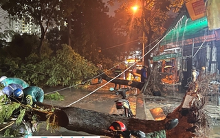 TP HCM: Hàng chục cây xanh ngã đổ, bà đón cháu đi học về bị cây đè trúng người