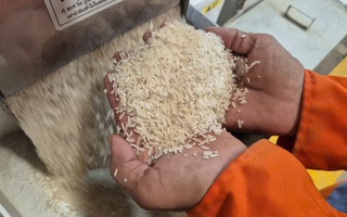 Việt Nam nhập gạo nhiều thứ 2 thế giới