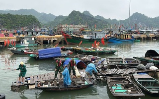 Kích hoạt biện pháp ứng phó với bão số 12