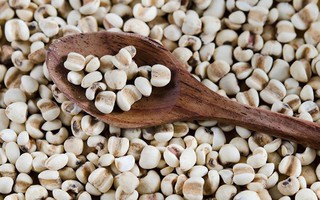 Thu hồi dược liệu ý dĩ không đạt chất lượng